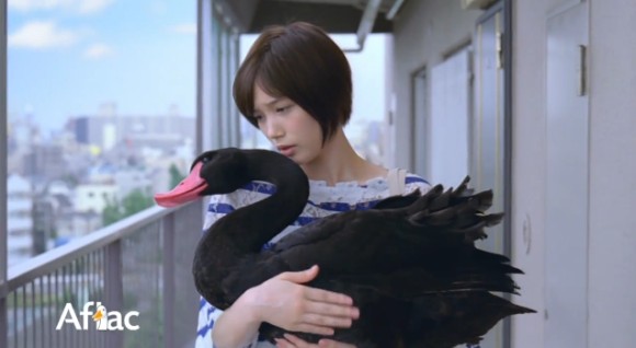 aflac blackswan