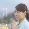 日本香堂 かたりべ「かたりべ 春が来たよ」