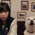 ソフトバンク CM「娘？」篇、「鑑定結果」篇