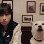 ソフトバンク CM「娘？」篇、「鑑定結果」篇