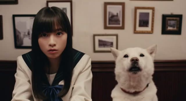 ソフトバンク CM「娘？」篇、「鑑定結果」篇