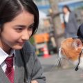 Y!mobile「ふてニャン ネコのおまわりさん」篇