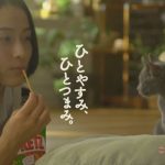 江崎グリコ　プリッツ 「猫」篇